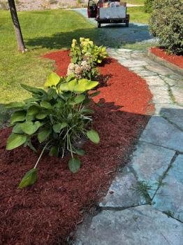 Image for Ben's Outdoor Maintenance with ID of: 6436443