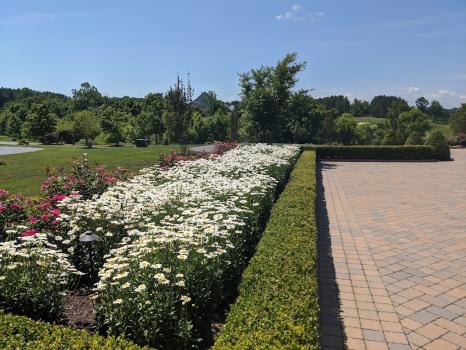 Image for Kane Landscapes, Inc with ID of: 6437799
