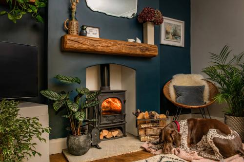 Image for Cottage Beams with ID of: 6437848