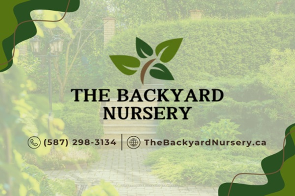 Image for The Backyard Nursery with ID of: 6437963