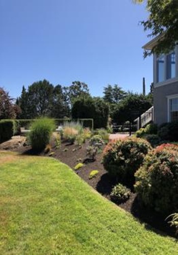 Image for The Backyard Nursery with ID of: 6437964