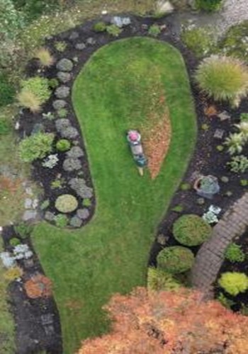 Image for The Backyard Nursery with ID of: 6437965
