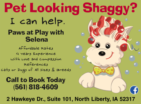 Image for Paws at Play with Selena with ID of: 6438300