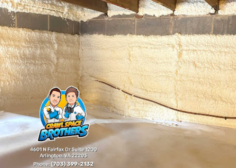 Image for Crawl Space Brothers with ID of: 6439067