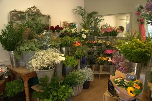 Image for Floral Gallery with ID of: 6440279