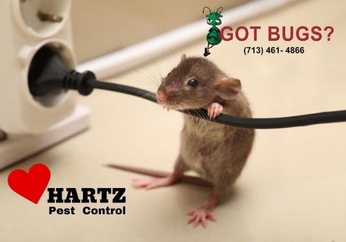Image for Hartz Pest Control with ID of: 6441138