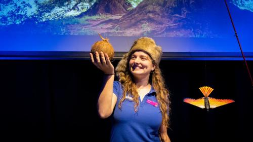 Image for Scitech with ID of: 6442164