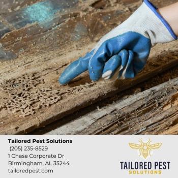 Image for Tailored Pest Solutions with ID of: 6442751