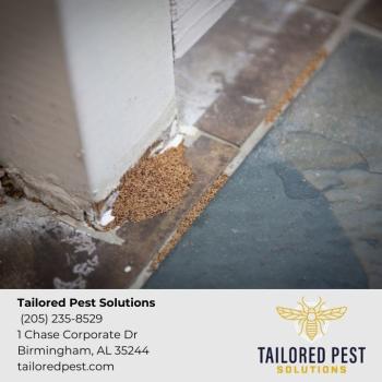 Image for Tailored Pest Solutions with ID of: 6442753