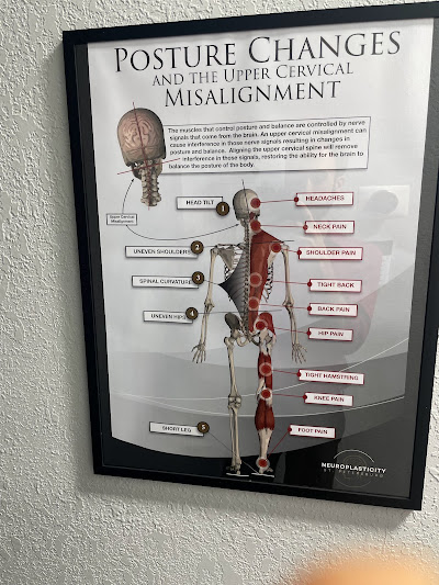 Image for Neuroplasticity St. Pete with ID of: 6442805