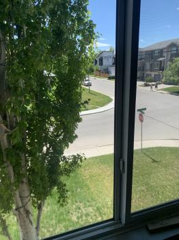 Image for Window Medics Calgary with ID of: 6444223