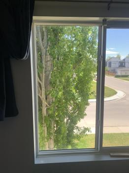 Image for Window Medics Calgary with ID of: 6444275