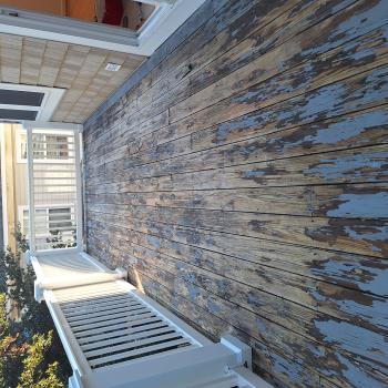 Image for MP Tile Restoration LLC with ID of: 6444697