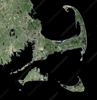 Image for Affordable Bankruptcy of Cape Cod with ID of: 6446235