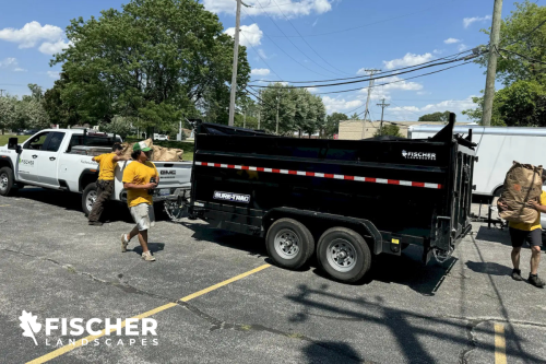 Image for Fischer Landscapes with ID of: 6446446