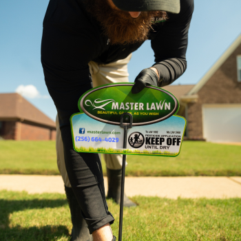 Image for Master Lawn with ID of: 6447096