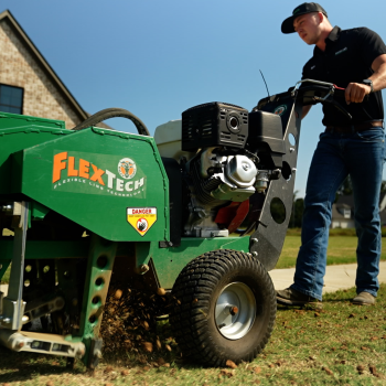 Image for Master Lawn with ID of: 6447099