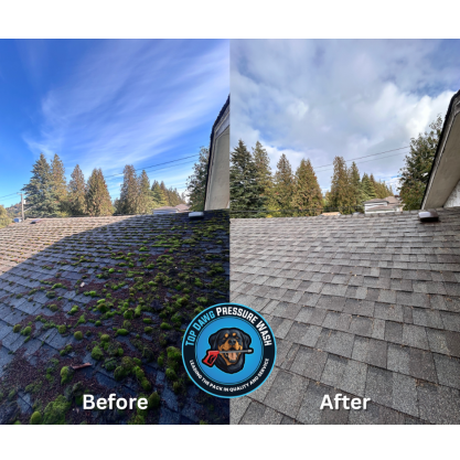 Image for Top Dawg Pressure Wash with ID of: 6447785