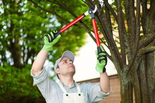 Image for Trees Plus LTD with ID of: 6450056