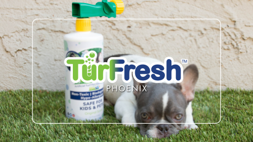 Image for TurFresh with ID of: 6451918