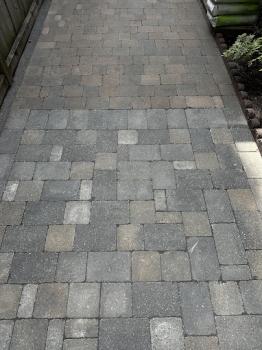 Image for Dev's Home Maintenance with ID of: 6455598