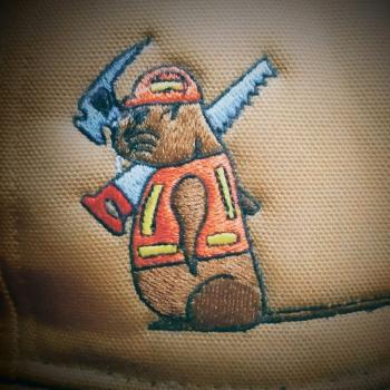 Image for Bizzy Beaver's Contracting with ID of: 6455775