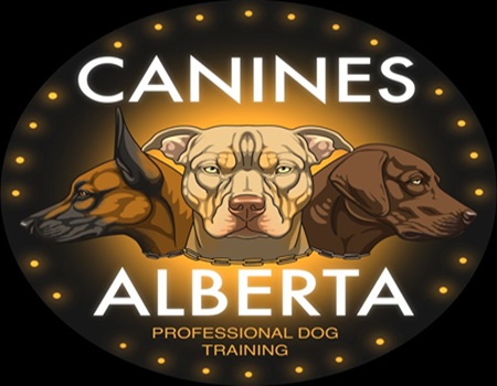 Image for Canines Alberta Professional Dog Training with ID of: 6456367