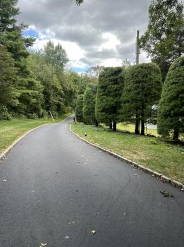 Image for Leonel and Sons Landscaping with ID of: 6456628