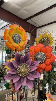 Image for Plant World, Inc. with ID of: 6457320