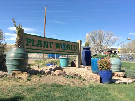 Image for Plant World, Inc. with ID of: 6457323