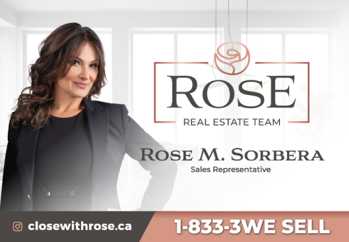Image for Rose Sorbera - Close with Rose with ID of: 6459725