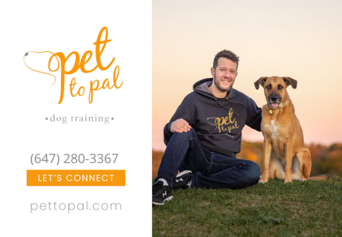 Image for Pet To Pal Dog Training with ID of: 6460167