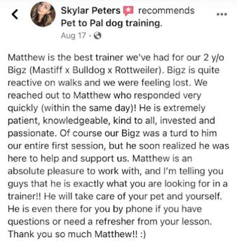 Image for Pet To Pal Dog Training with ID of: 6460170