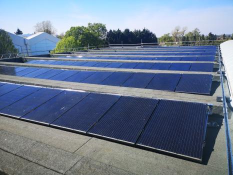 Image for Adept Renewables with ID of: 6461545