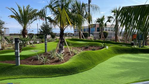 Image for C4 Landscape & Design with ID of: 6462745
