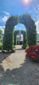 Image for Kent Greenhouse & Gardens with ID of: 6463007
