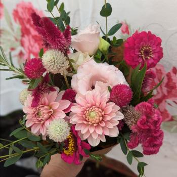 Image for Hyde Park Floral with ID of: 6464501