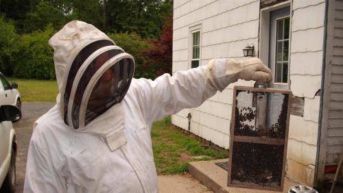 Image for Abatem Exterminating with ID of: 6467747