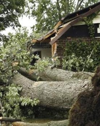 Image for BELFOR Property Restoration with ID of: 6470241