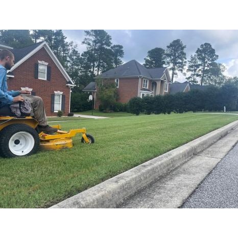 Image for Green Lawn Augusta with ID of: 6470245