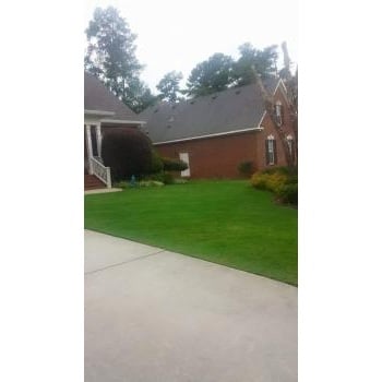 Image for Green Lawn Augusta with ID of: 6470253