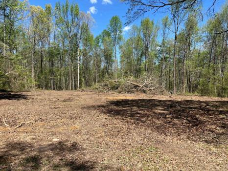 Image for North Alabama Land Development and Construction with ID of: 6470530