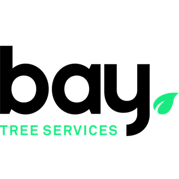Image for Bay Tree Services with ID of: 6804544