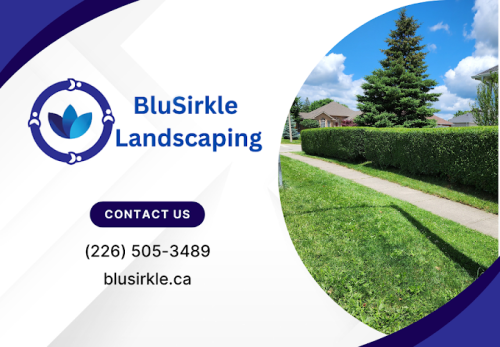 Image for BluSirkle Landscaping Services with ID of: 6474309