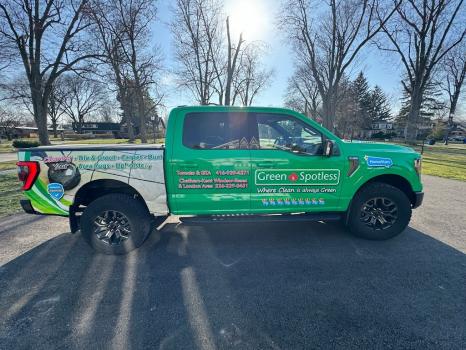 Image for Green & Spotless with ID of: 6474876