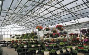 Image for Cultivate with ID of: 680618