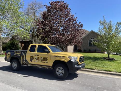 Image for Palisade Pest Control with ID of: 6476025
