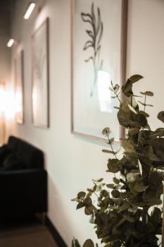 Image for Vytality Wellness & Medical Aesthetics with ID of: 6476560
