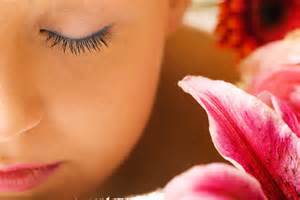 Image for Wellness BB Life with ID of: 680803