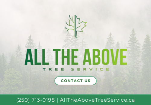 Image for All The Above Tree Service with ID of: 6477833